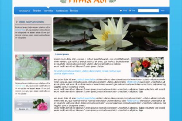 Как найти настоящую кракен даркнет ссылку
