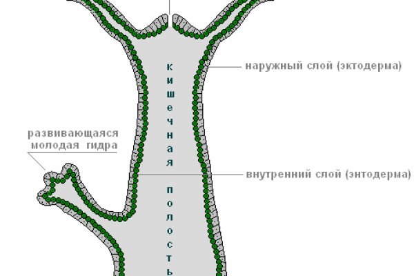 Кракен сайт наркота
