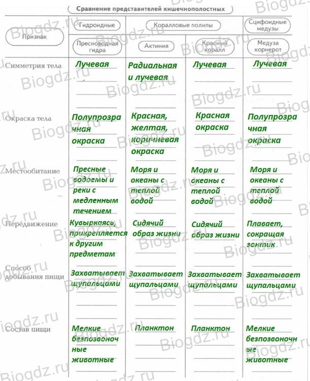 Ссылка кракен не работает
